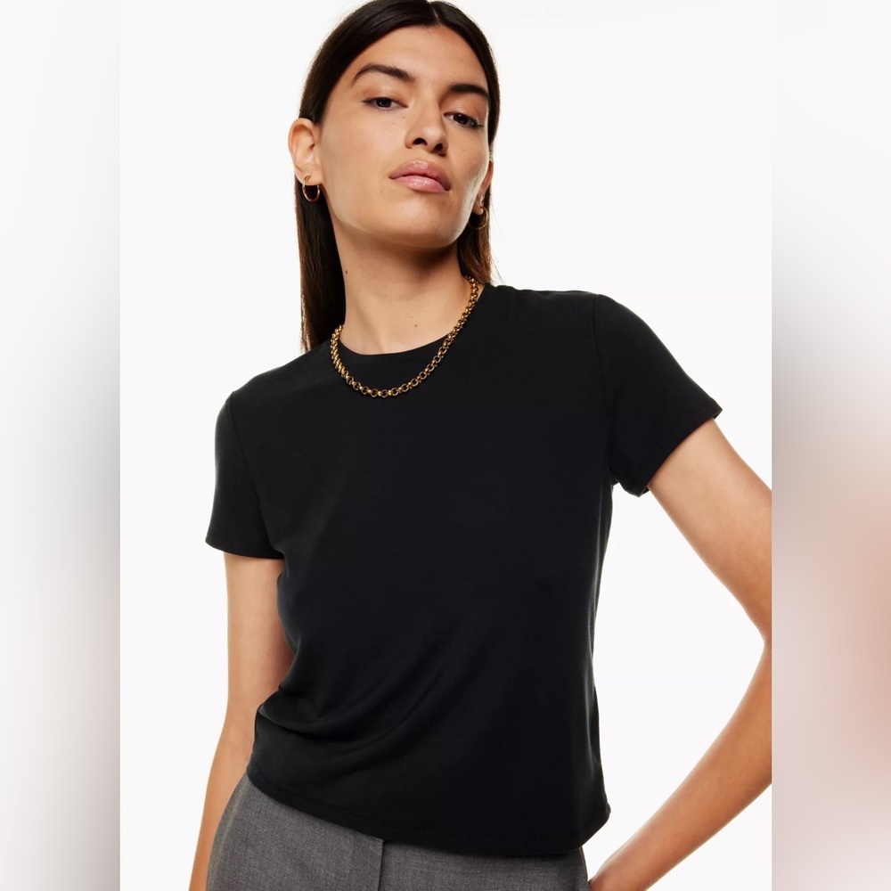 Aritzia Babaton Everyday T-Shirt